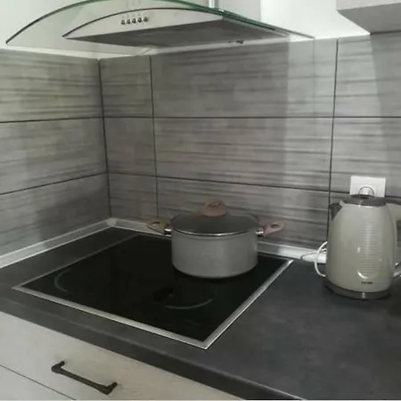 Savvas & Katerinas Appartments Holiday home Neos Marmaras